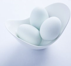 一种提高肥肝鹅产蛋率的饲养方法