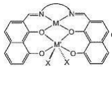 合成支化聚乙烯的非茂双金属催化体系及其应用